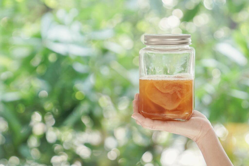 Kombucha Fermented tea, Probiotic food for gut health